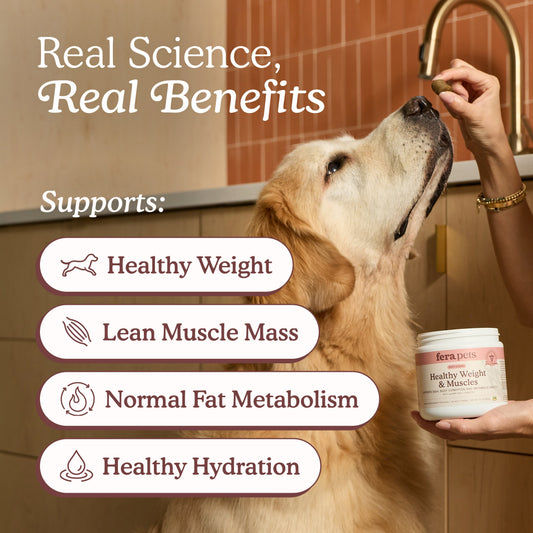 Fera Pets Healthy Weight & Muscles Soft Chews for Dogs
