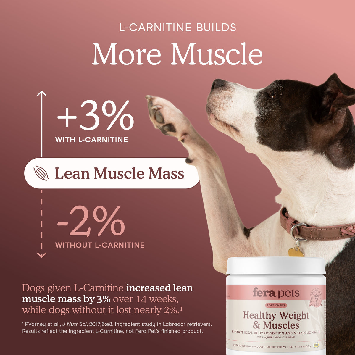 Fera Pets Healthy Weight & Muscles Soft Chews for Dogs