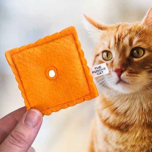 Catnip Cheez-it