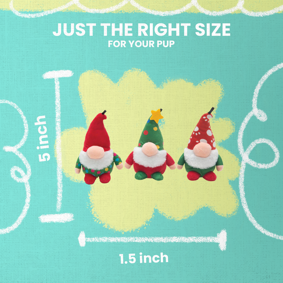 Baby Gnomie Dog Toy