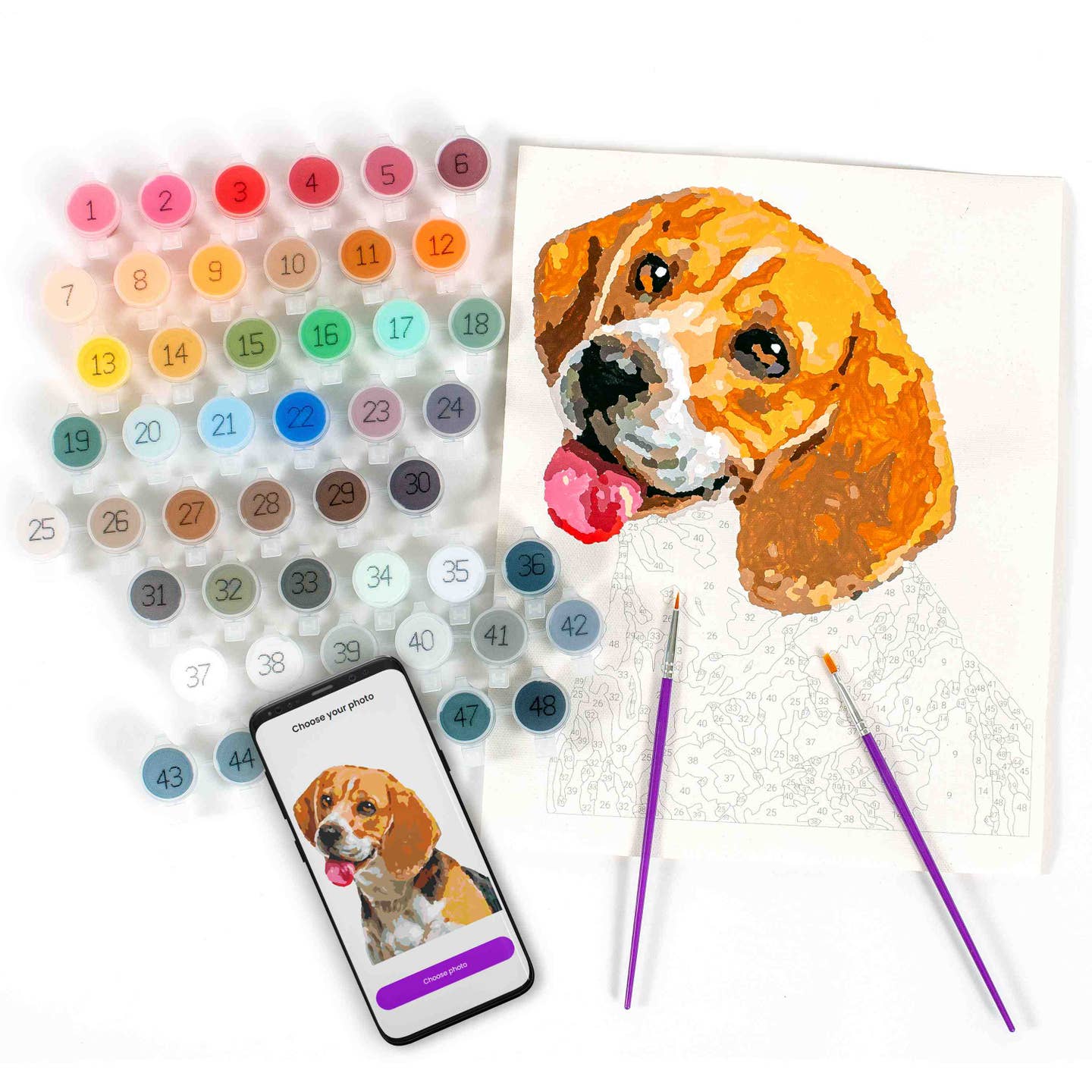 Paint Your Photo By Number | Pets Edition