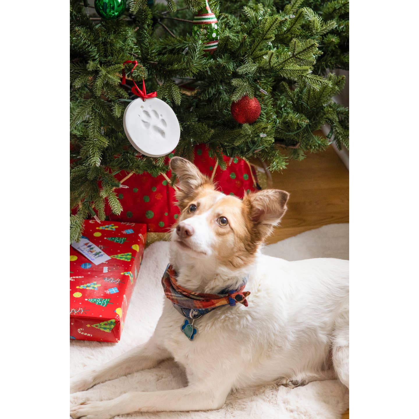 Holiday Pawprints Christmas Ornament Kit - 2 Pack