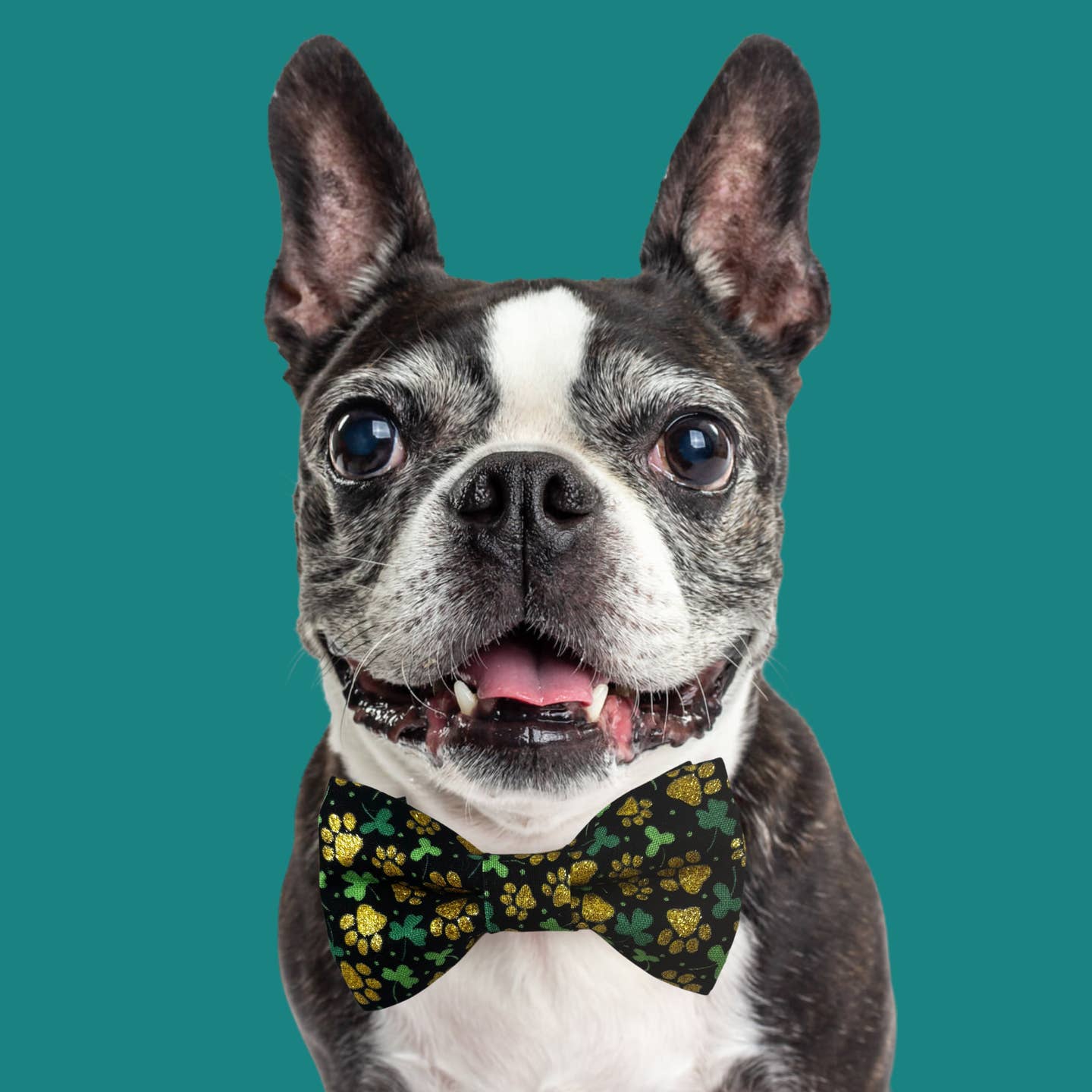 St. Patrick's Day Shamrocks Bow Tie