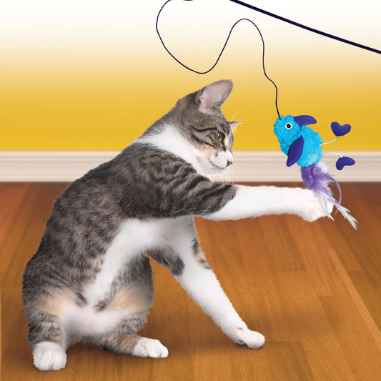 KONG Cat Teaser Feather Toy