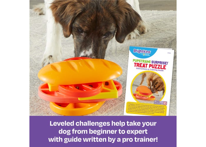 Pupstrami Surprise! Treat Puzzle