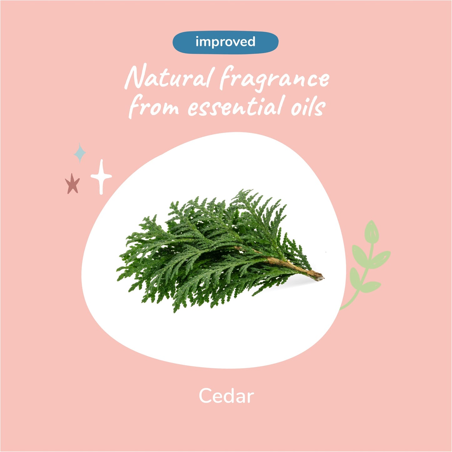 Kin + Kind Cedar Dry Skin & Coat Shampoo