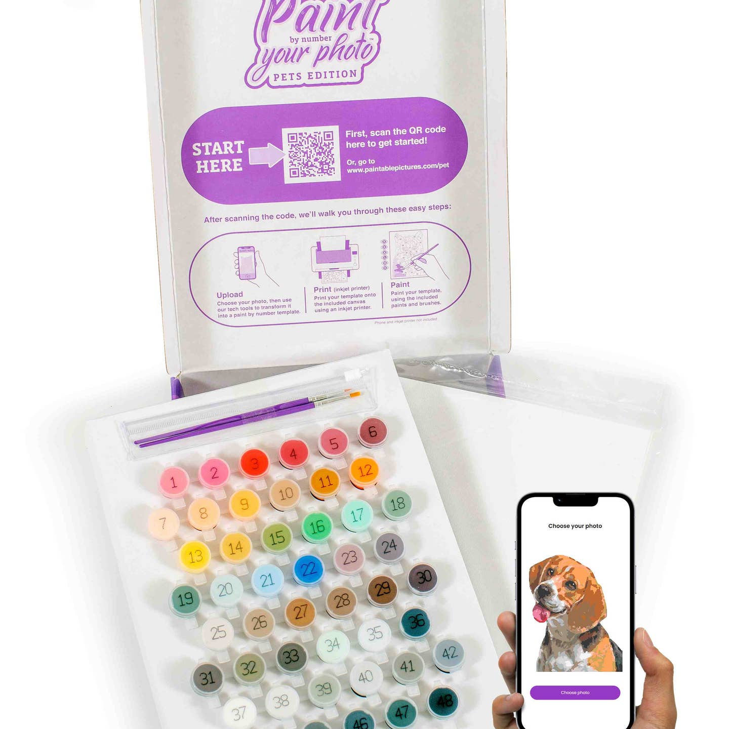 Paint Your Photo By Number | Pets Edition