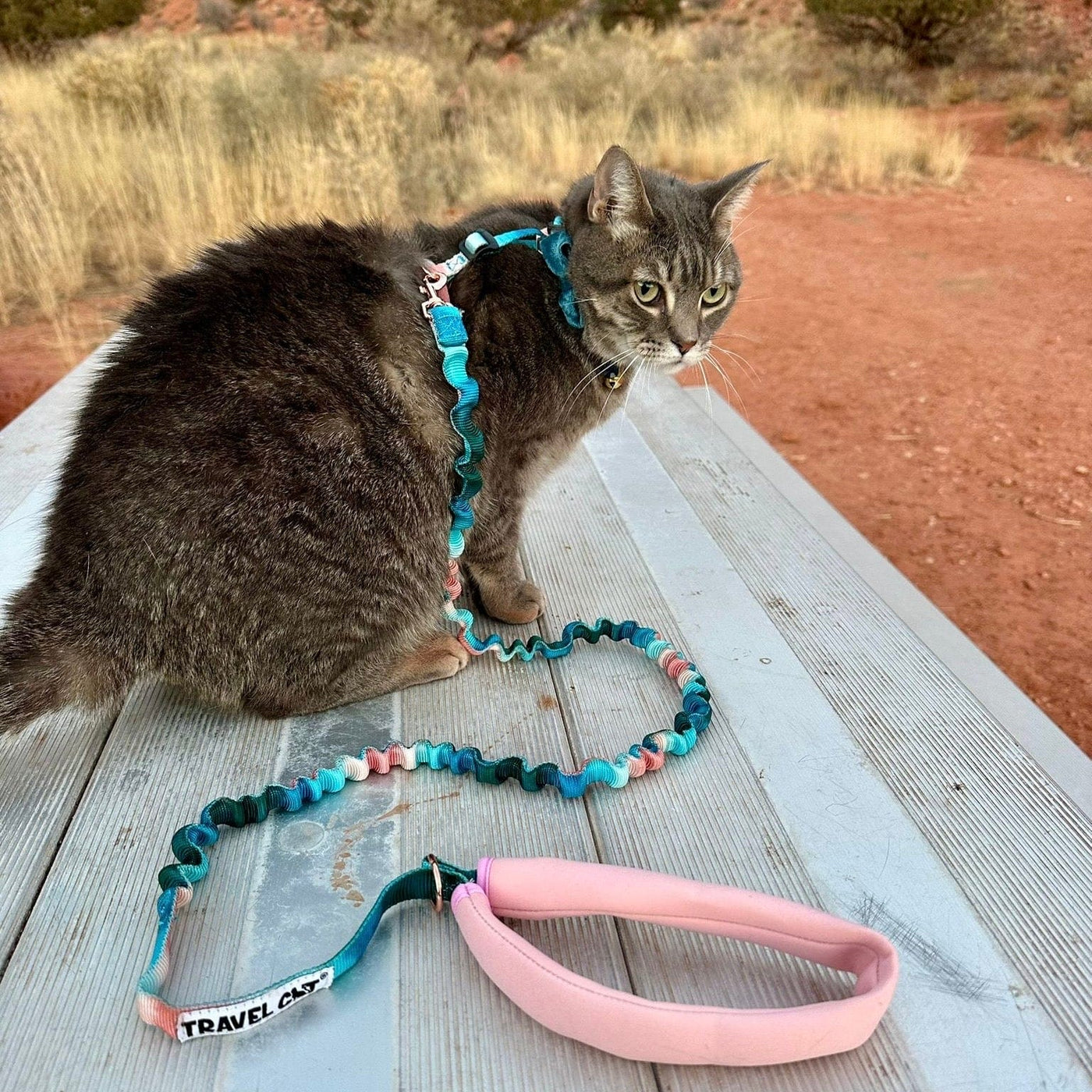 "The Day Tripper" Adjustable H-Style Cat Harness & Leash - Watercolor