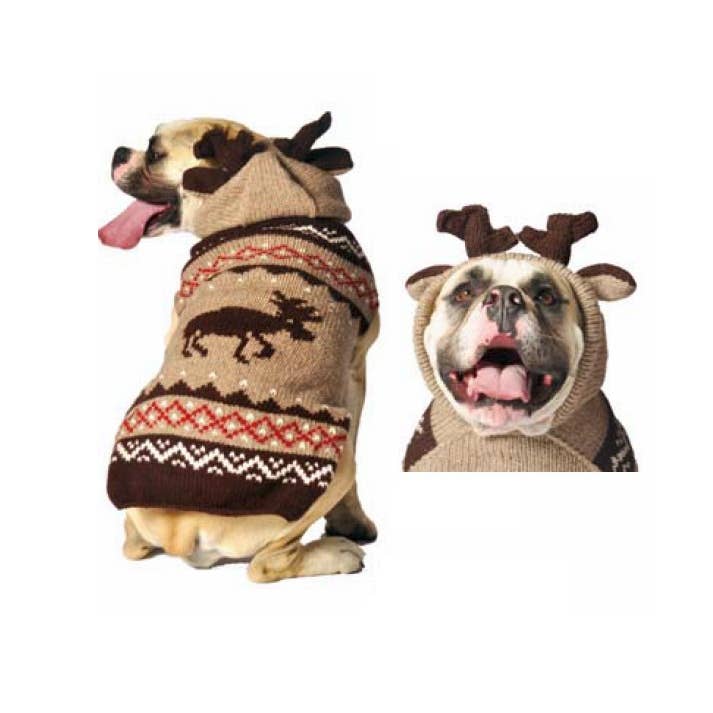 Moosey Dog Hoodie