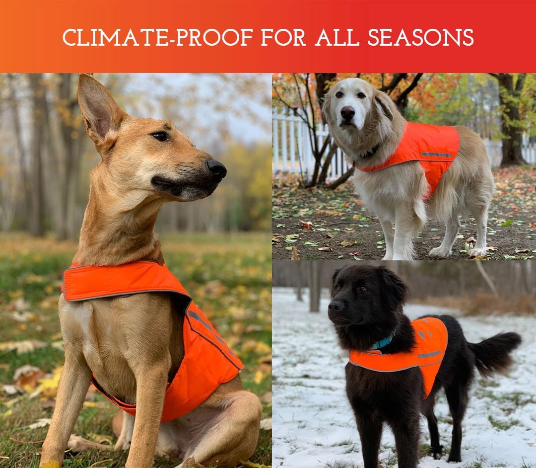 Spot the Dog Reflective Orange Safety Vest
