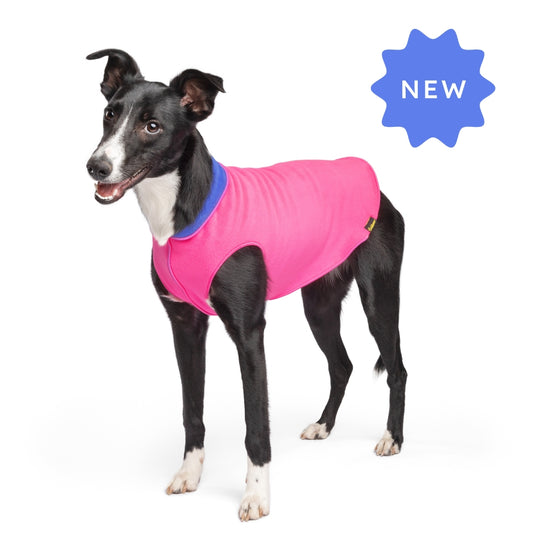 Hot Pink/Cornflower Double Fleece