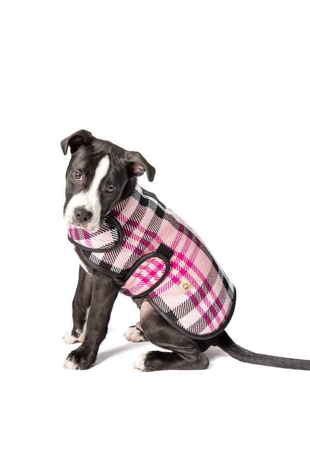 Pink Plaid Blanket Dog Coat
