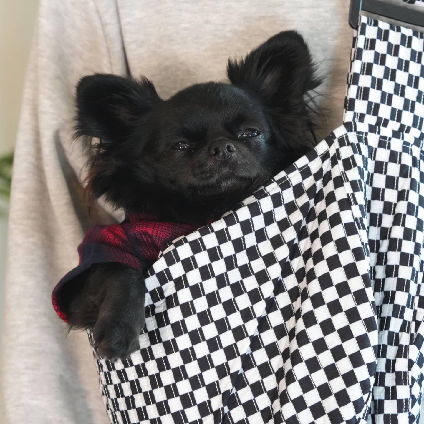 Pet Sling Carrier- the "Romeo"