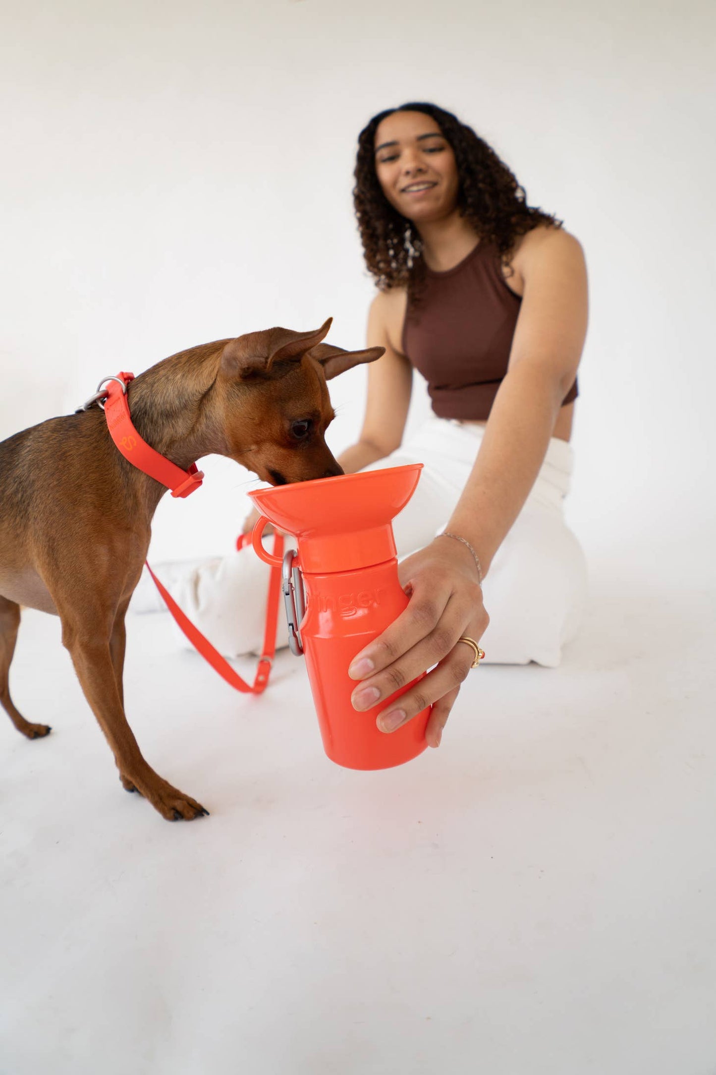 Springer Mini Travel Dog Water Bottle