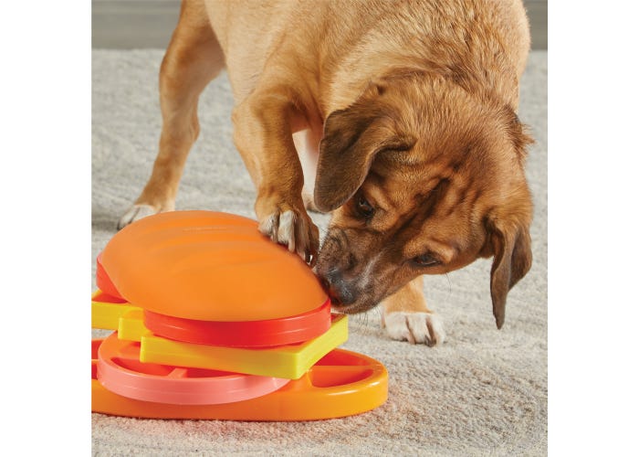 Pupstrami Surprise! Treat Puzzle