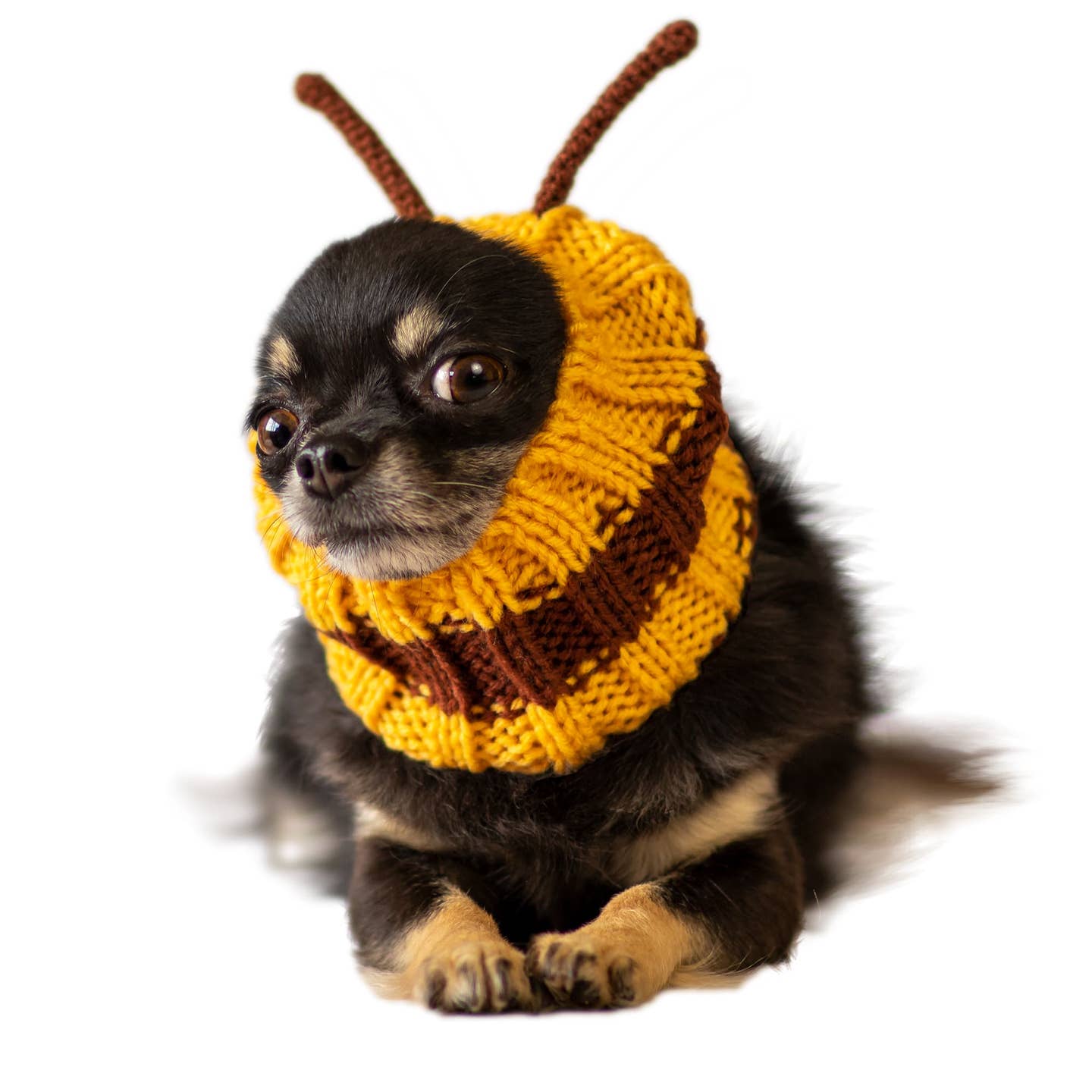 Bee Dog Snood