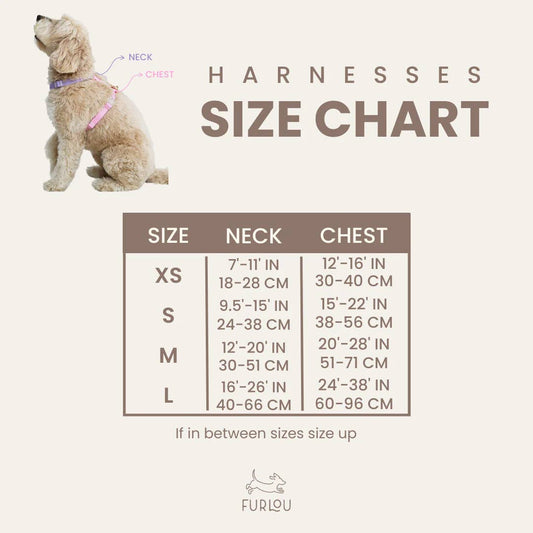 Lavender + Lime Dog Harness