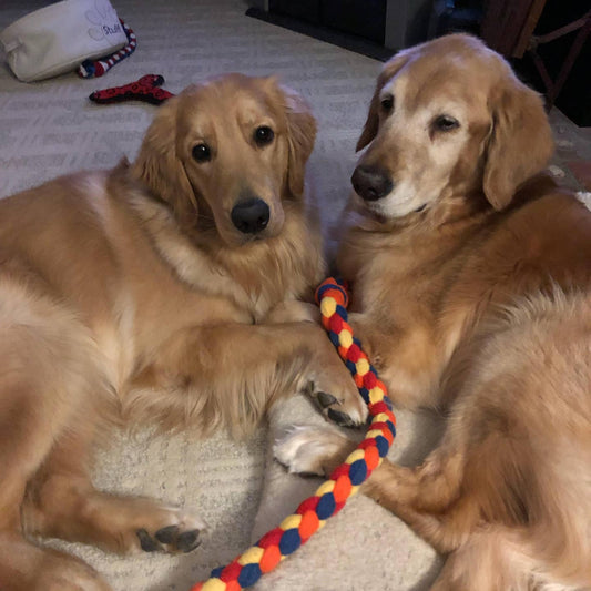 Hand Braided Quad Braid Dog Pull Toy - XL