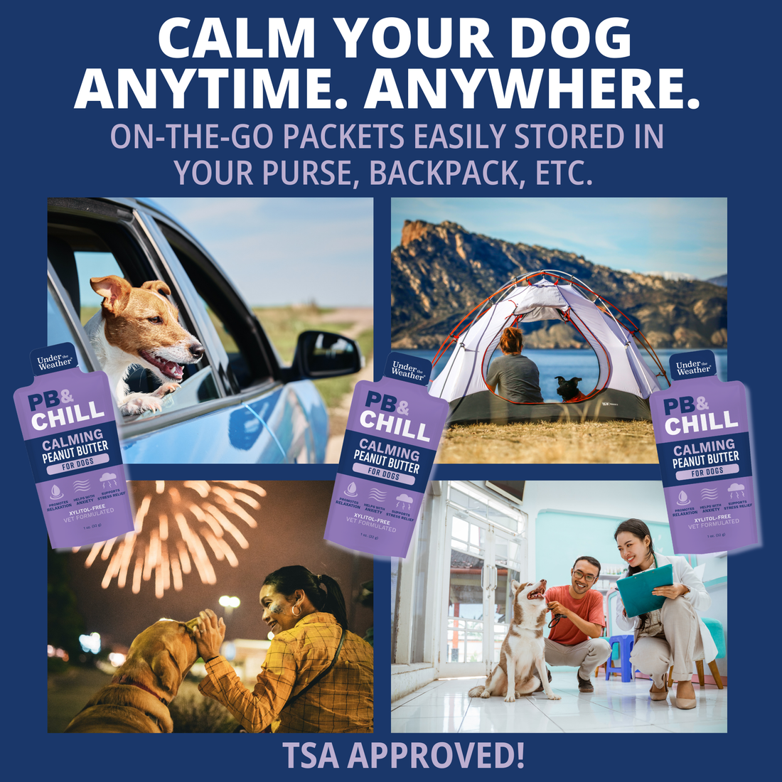 PB&CHILL™ Calming Peanut Butter For Dogs - 1 oz 6 Pack