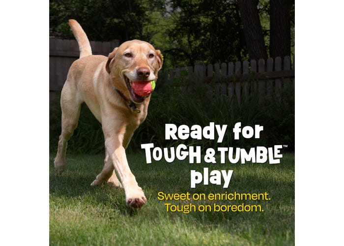 Tough & Tumble 2-Piece Watermelon Dog Toy