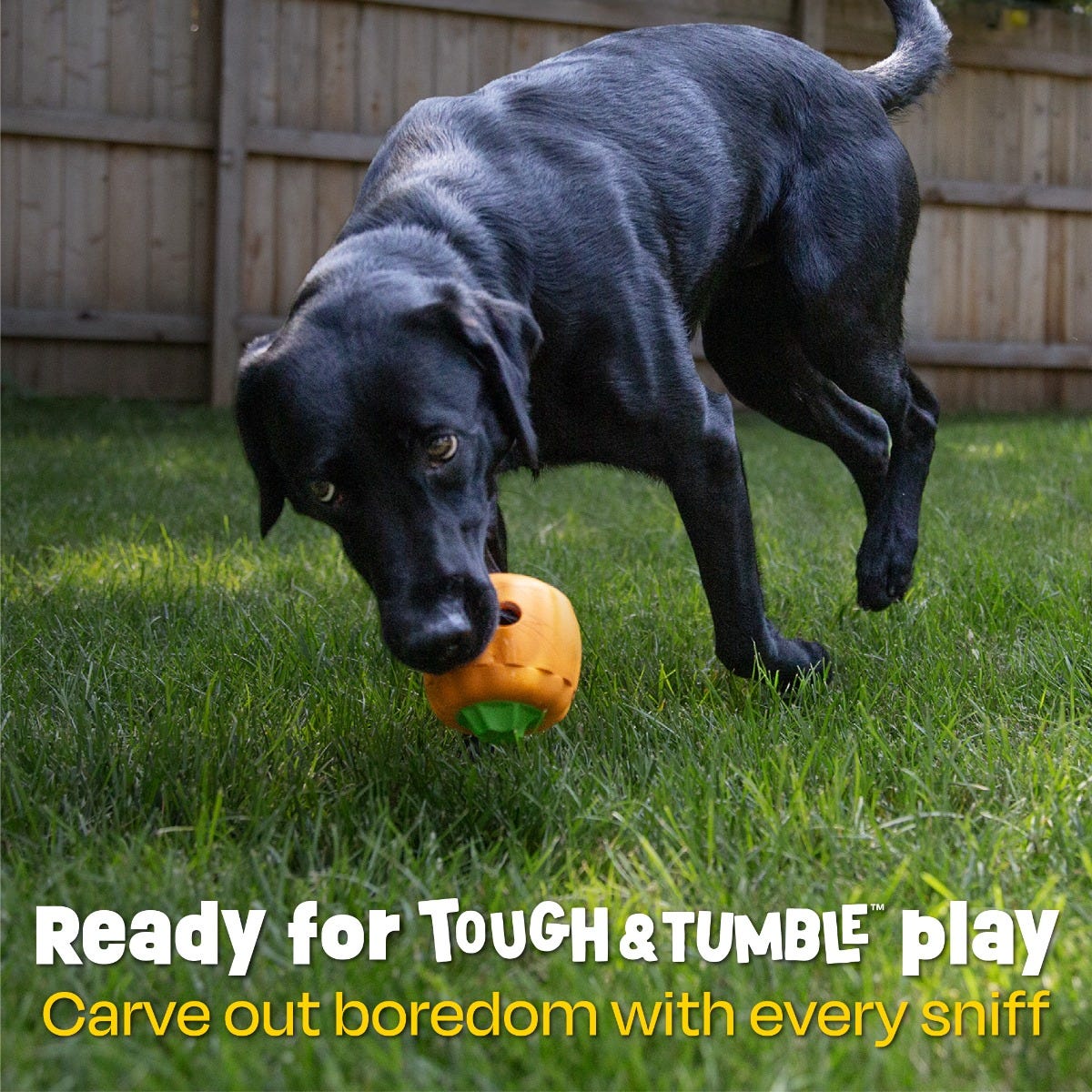 Tough & Tumble™ 2-Piece Treat Dispenser: Pumpkin