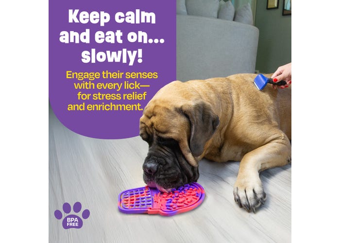 Pup Cone Lick Mat