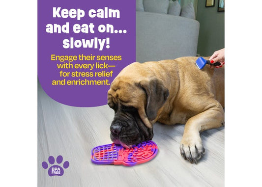 Pup Cone Lick Mat