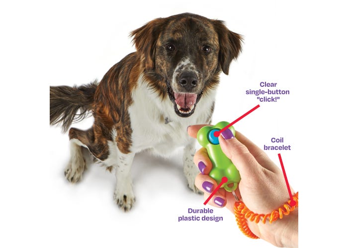 Smarty Pooch!™ Training Clicker: Bone