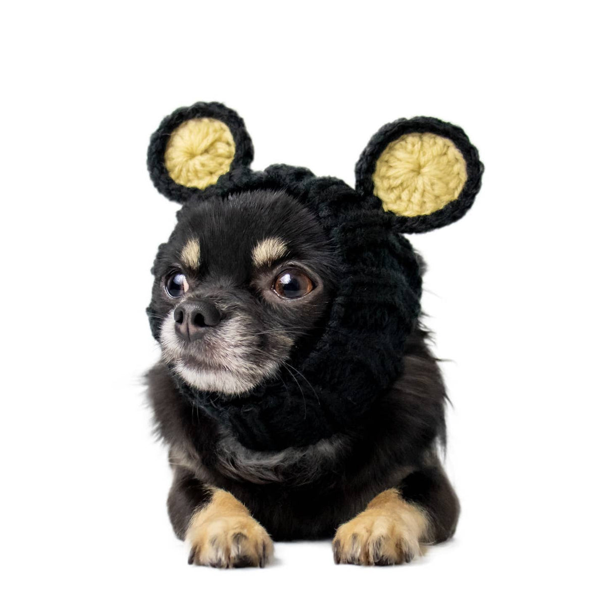 Black Bear Dog Snood