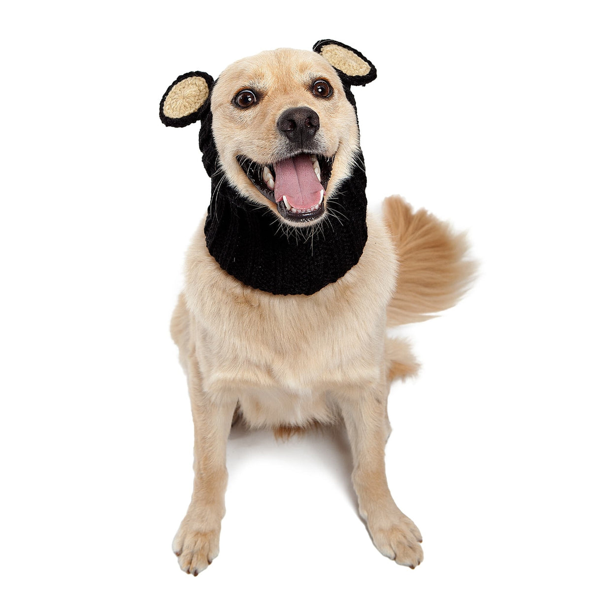 Black Bear Dog Snood