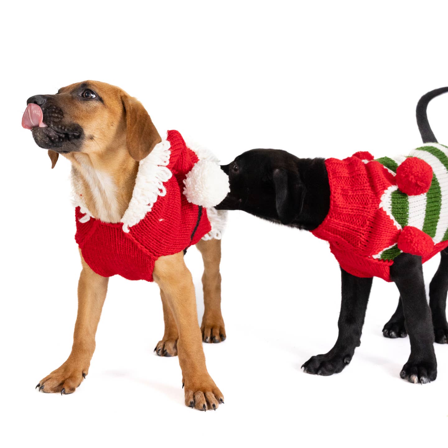 Christmas Elf Dog Sweater