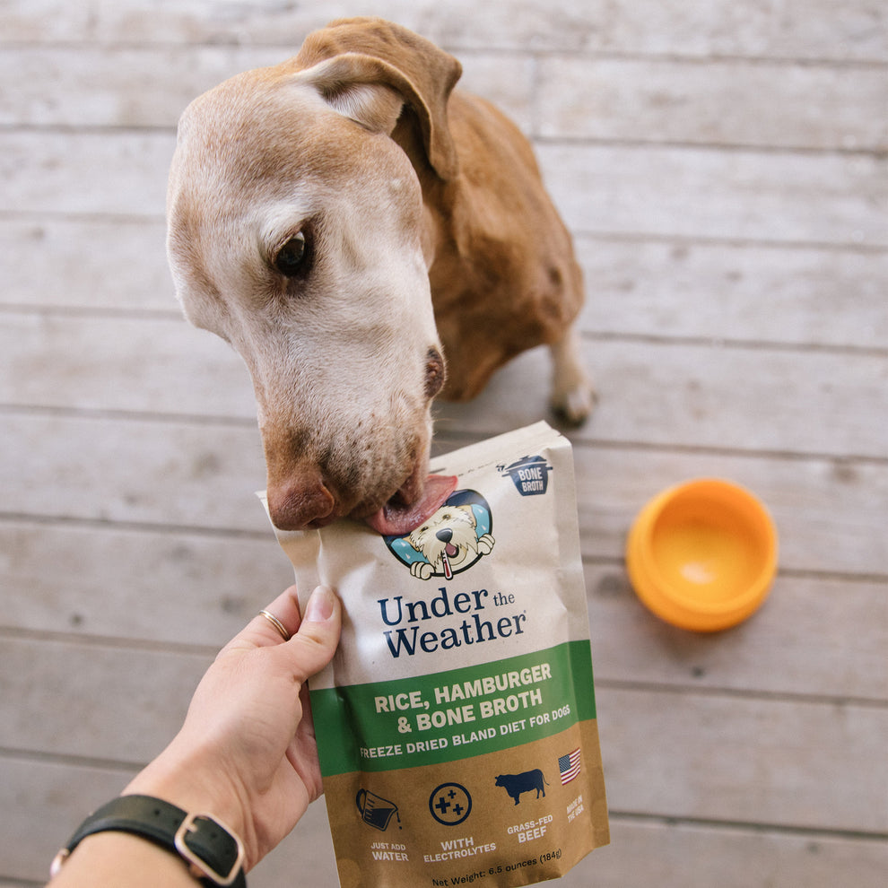Under The Weather Hamburger, Rice, & Bone Broth Bland Diet For Dogs