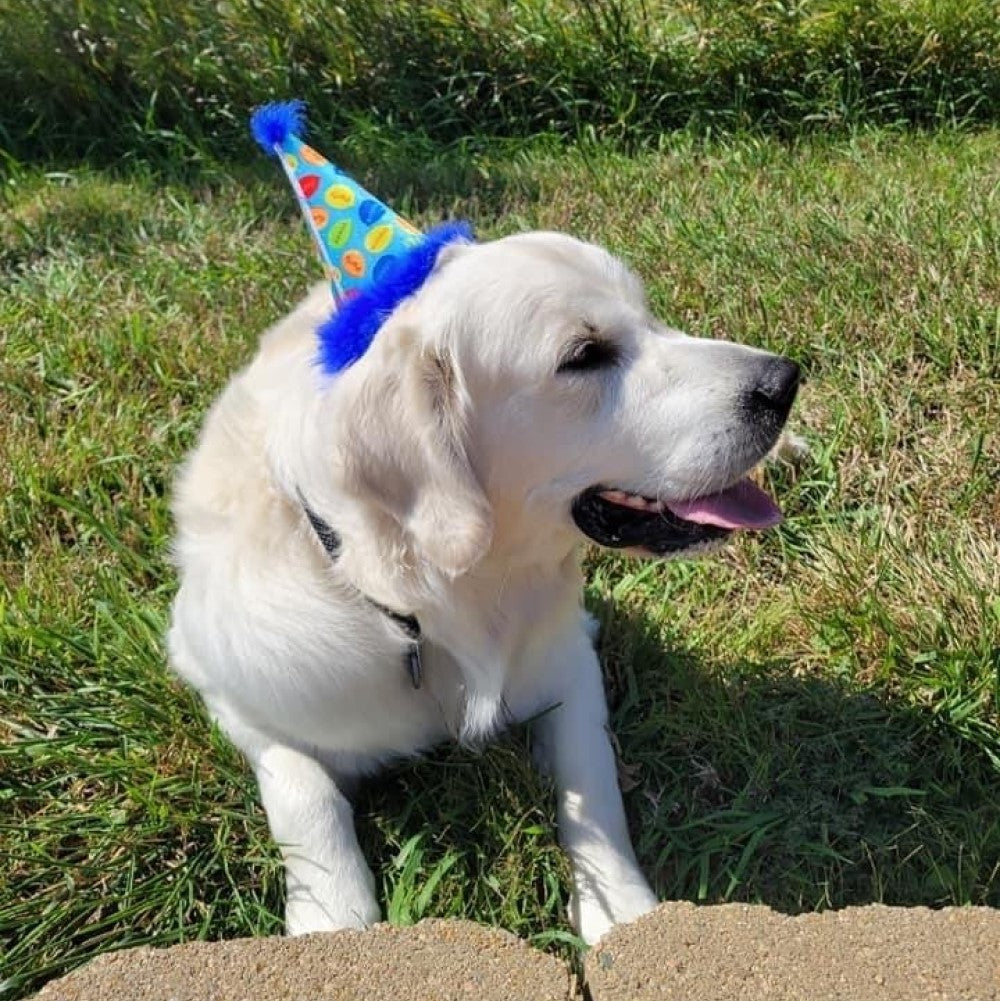 Blue Party Time Hat With Snugfit