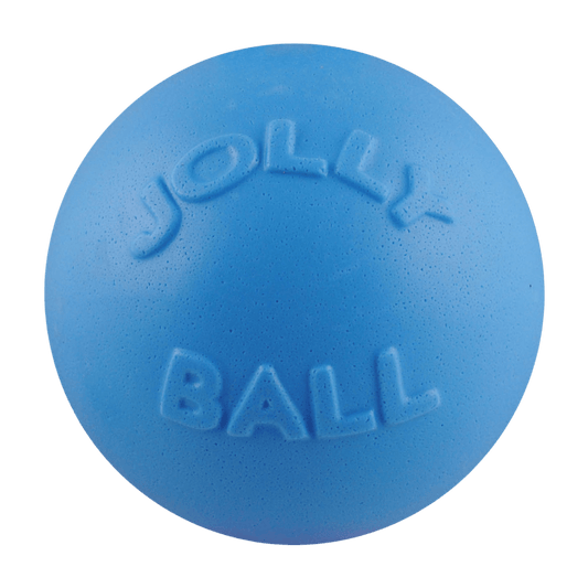 Jolly Pets Bounce N Play Dog Toy