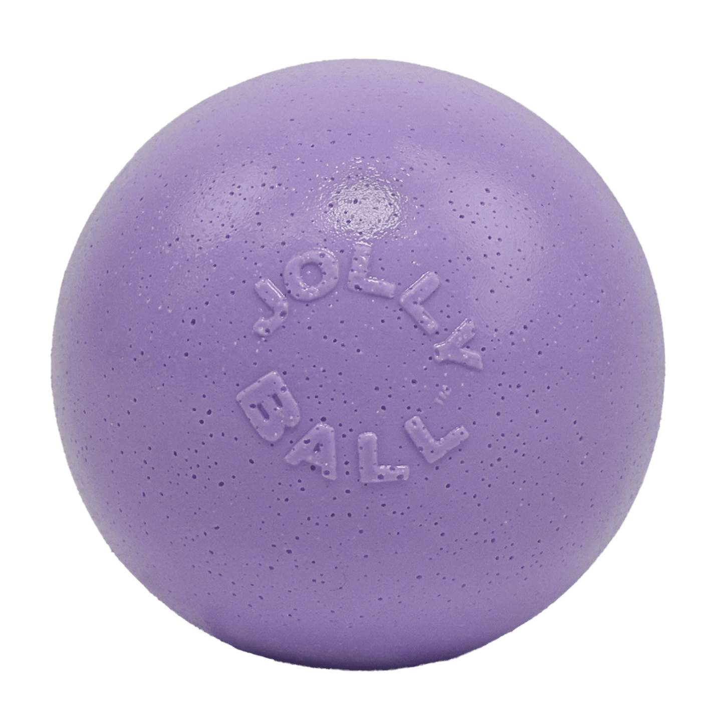 Jolly Pets Bounce N Play Dog Toy