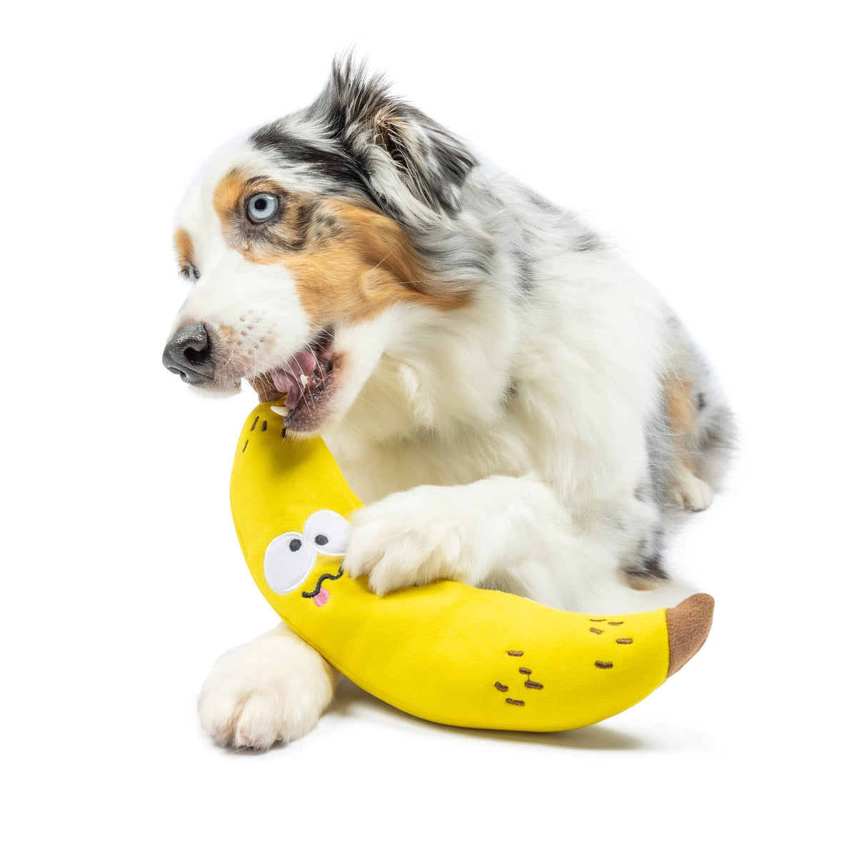 Bruiser Banana Dog Toy - Small 9"