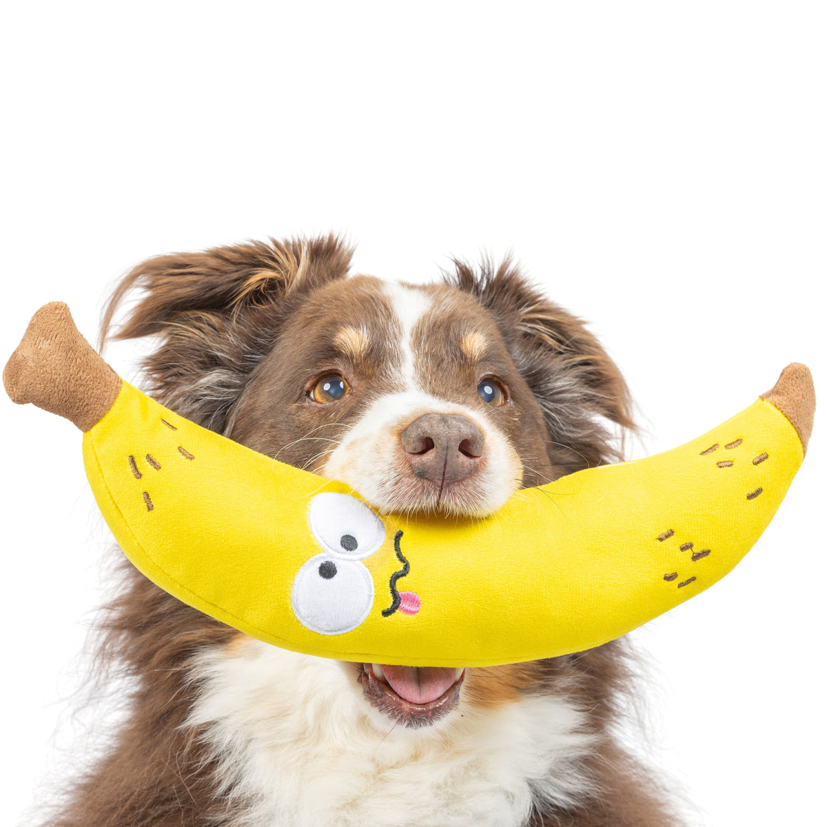 Bruiser Banana Dog Toy - Small 9"