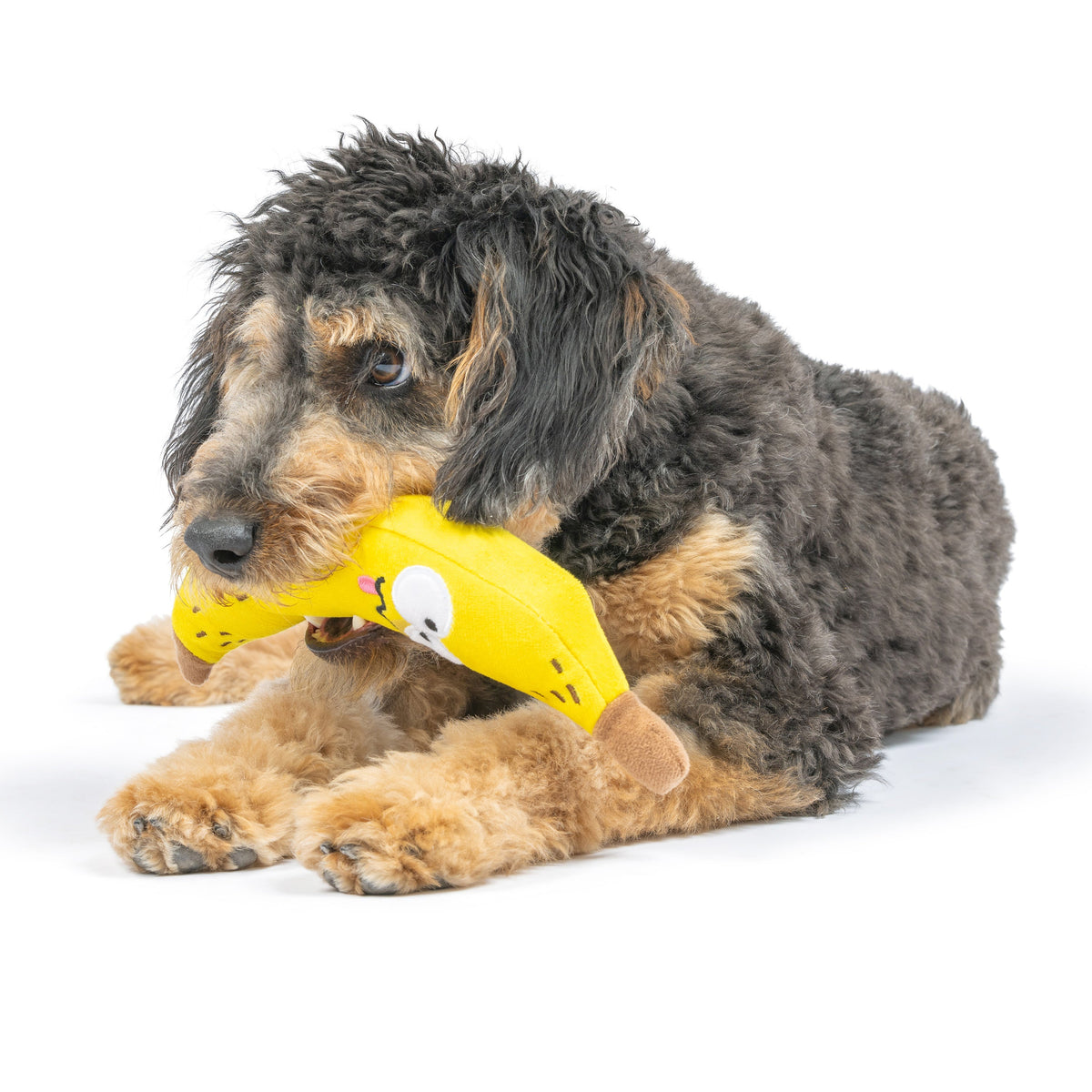 Bruiser Banana Dog Toy - Small 9"