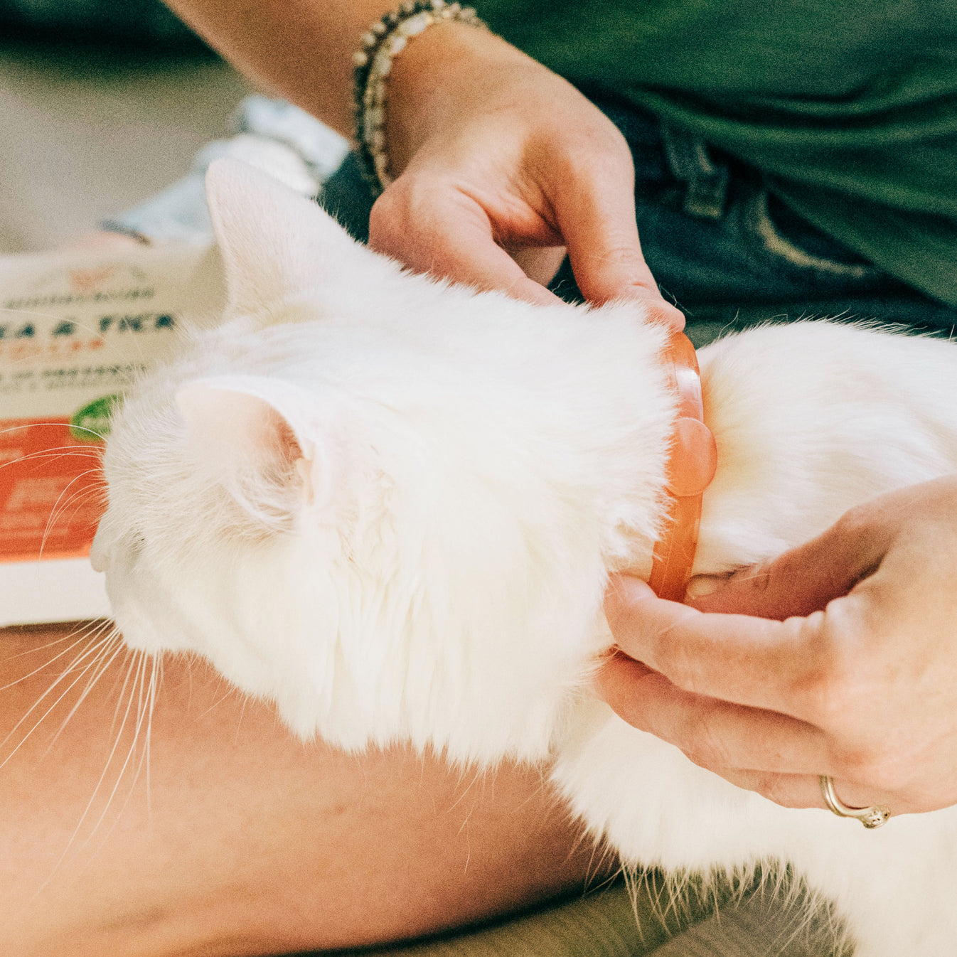 Wondercide Cat Flea & Tick Collar - Peppermint - One Size