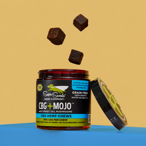 CBG+Mojo Immune Support Hemp Chew - 30 ct
