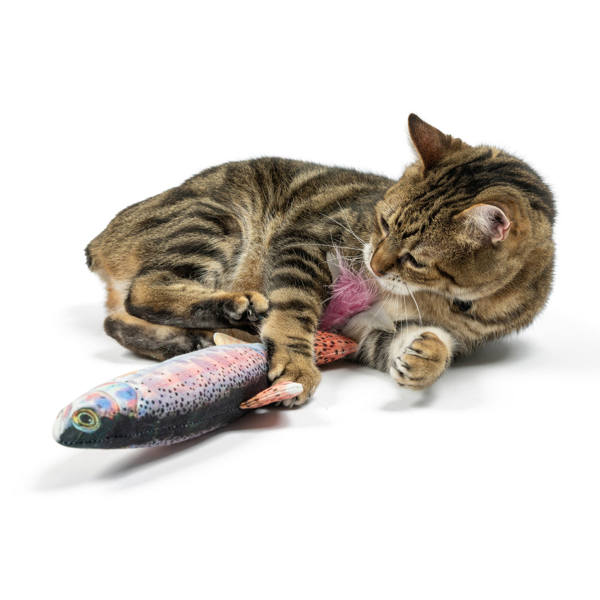 Rainbow Trout Cat Kicker