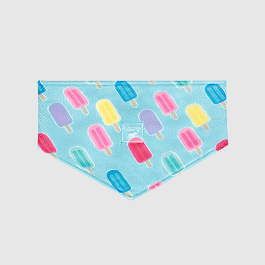 Chill Seeker Cooling Bandana