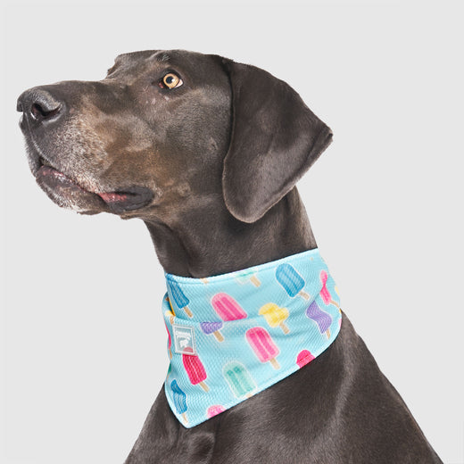 Chill Seeker Cooling Bandana