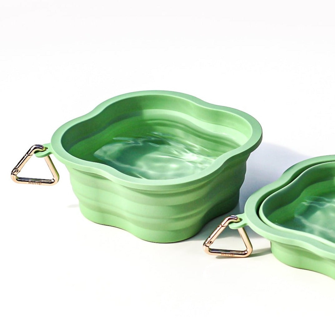 Collapsible Silicone Water Bowl