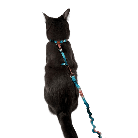 "The Day Tripper" Adjustable H-Style Cat Harness & Leash - Watercolor