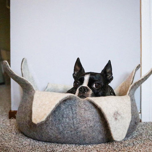 Natural Petal Basket Pet Bed 14" - Natural