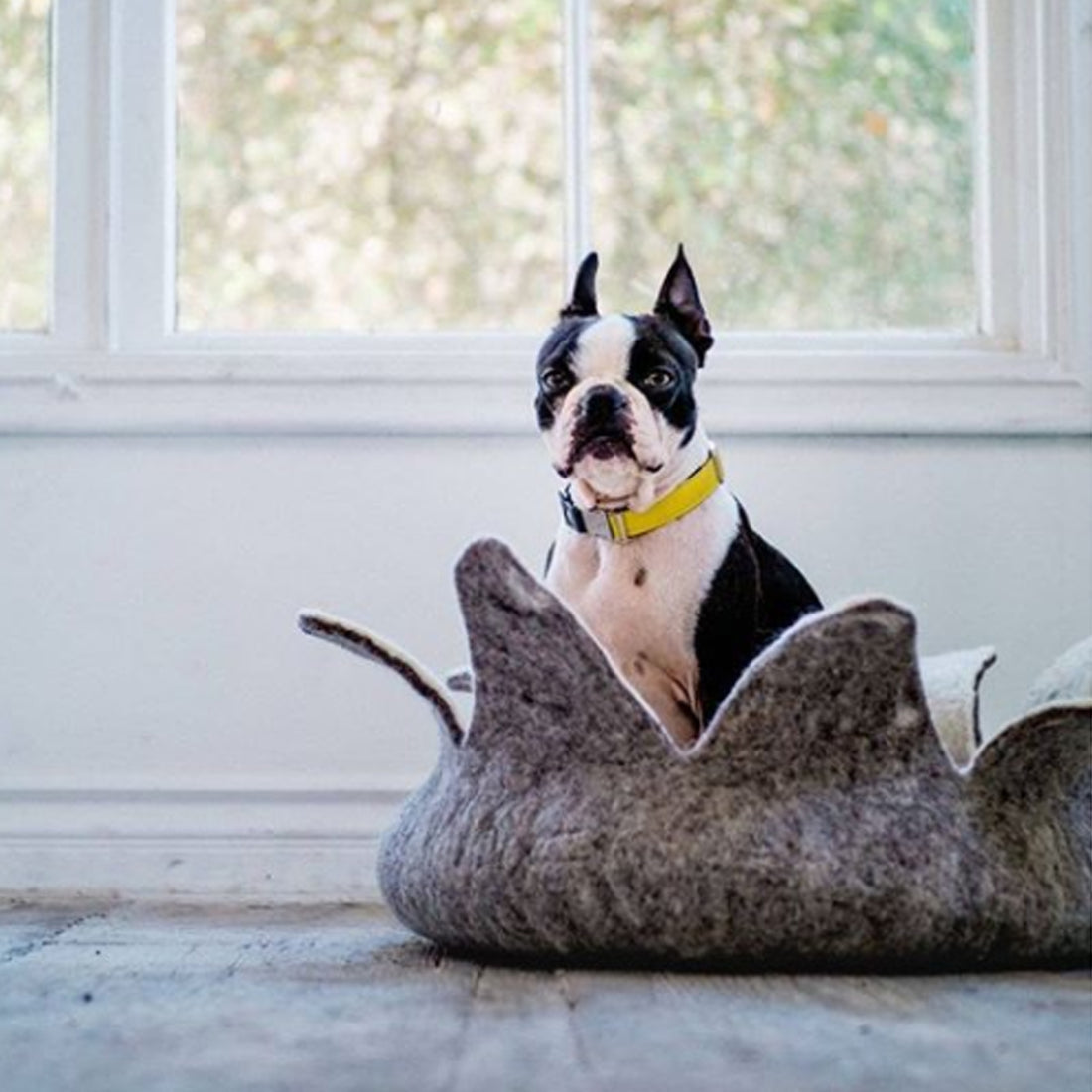 Natural Petal Basket Pet Bed 14" - Natural