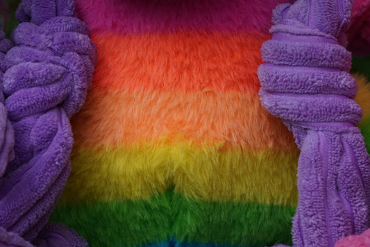 Rainbow Unicorn Knottie Plush Dog Toy - Small