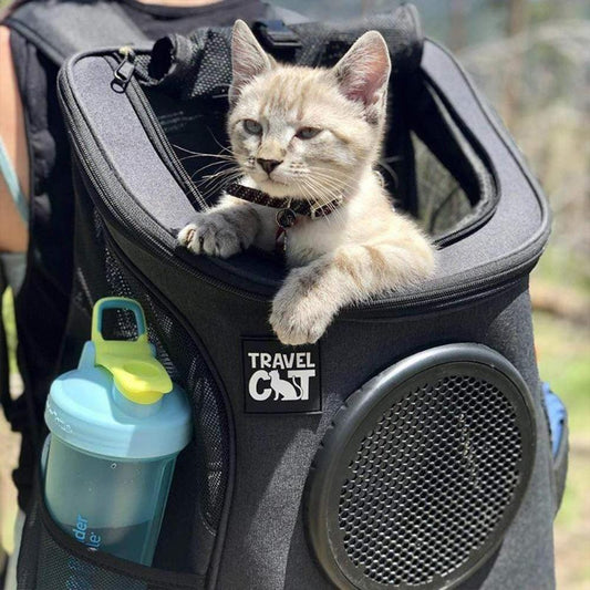 "The Fat Cat" Backpack for Larger Cats - Charcoal