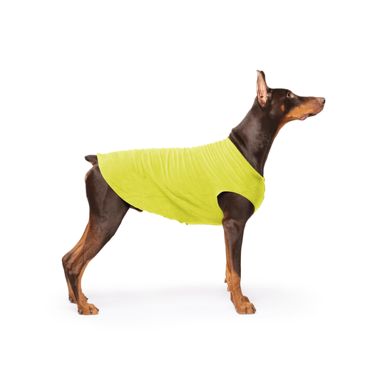 Avocado Stretch Fleece